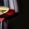 product thumbnail M35_Taste of wine_Glas_klein.jpg